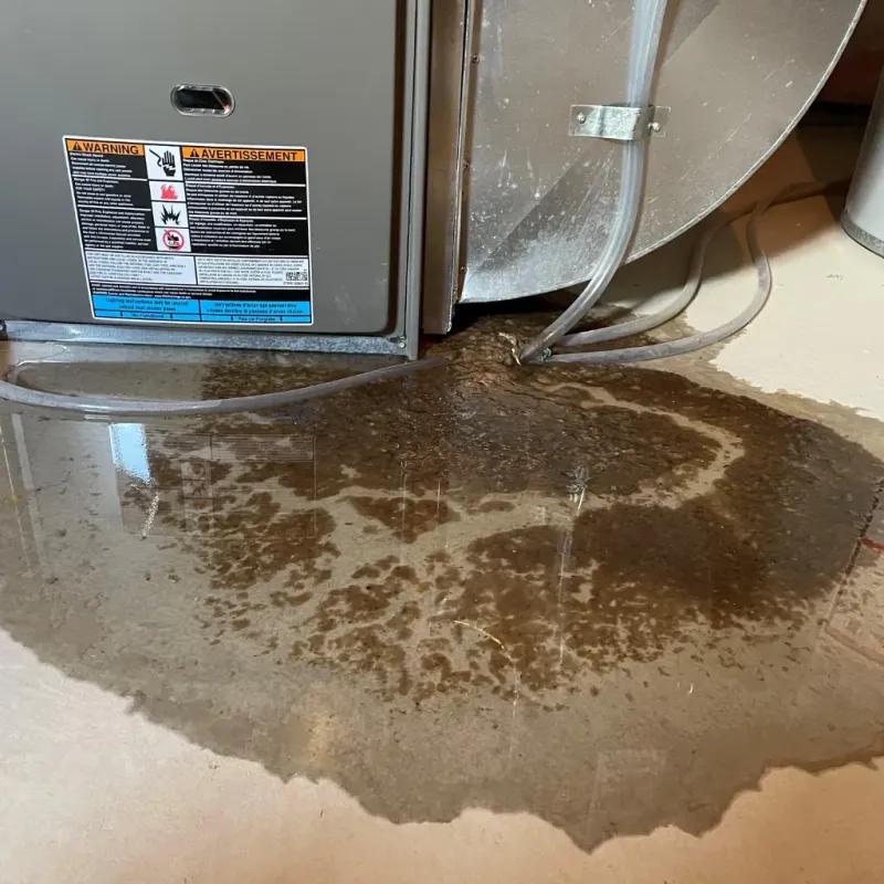 Appliance Leak Cleanup in Cannon Beach, OR